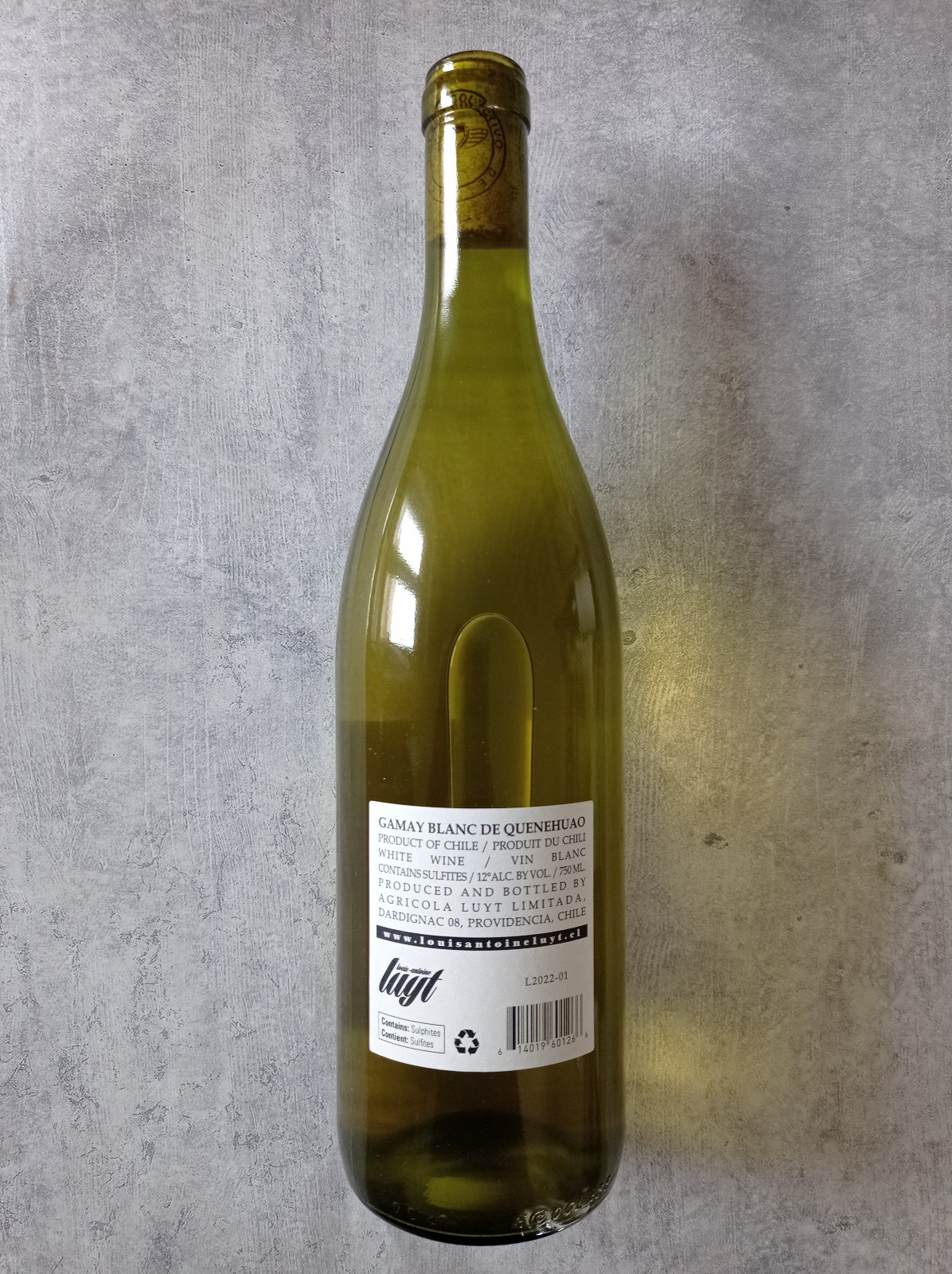 Gamay Blanc 2021 2022