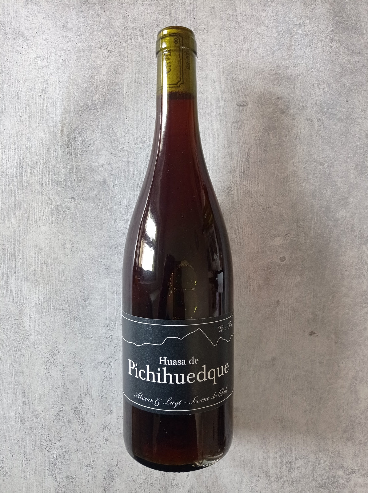 Huasa de Pichihuedque 2021