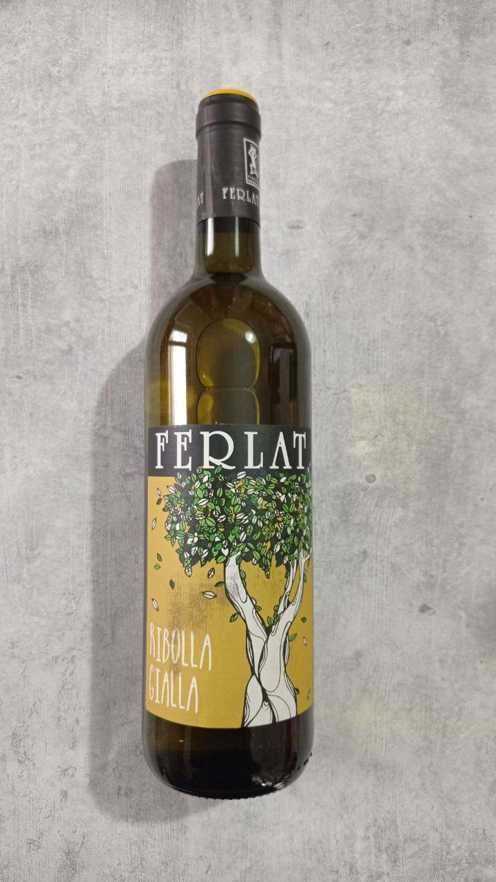 Ribolla Gialla 2022