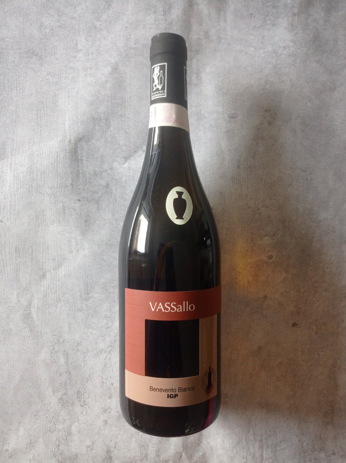 Vassallo bianco anfora 2024