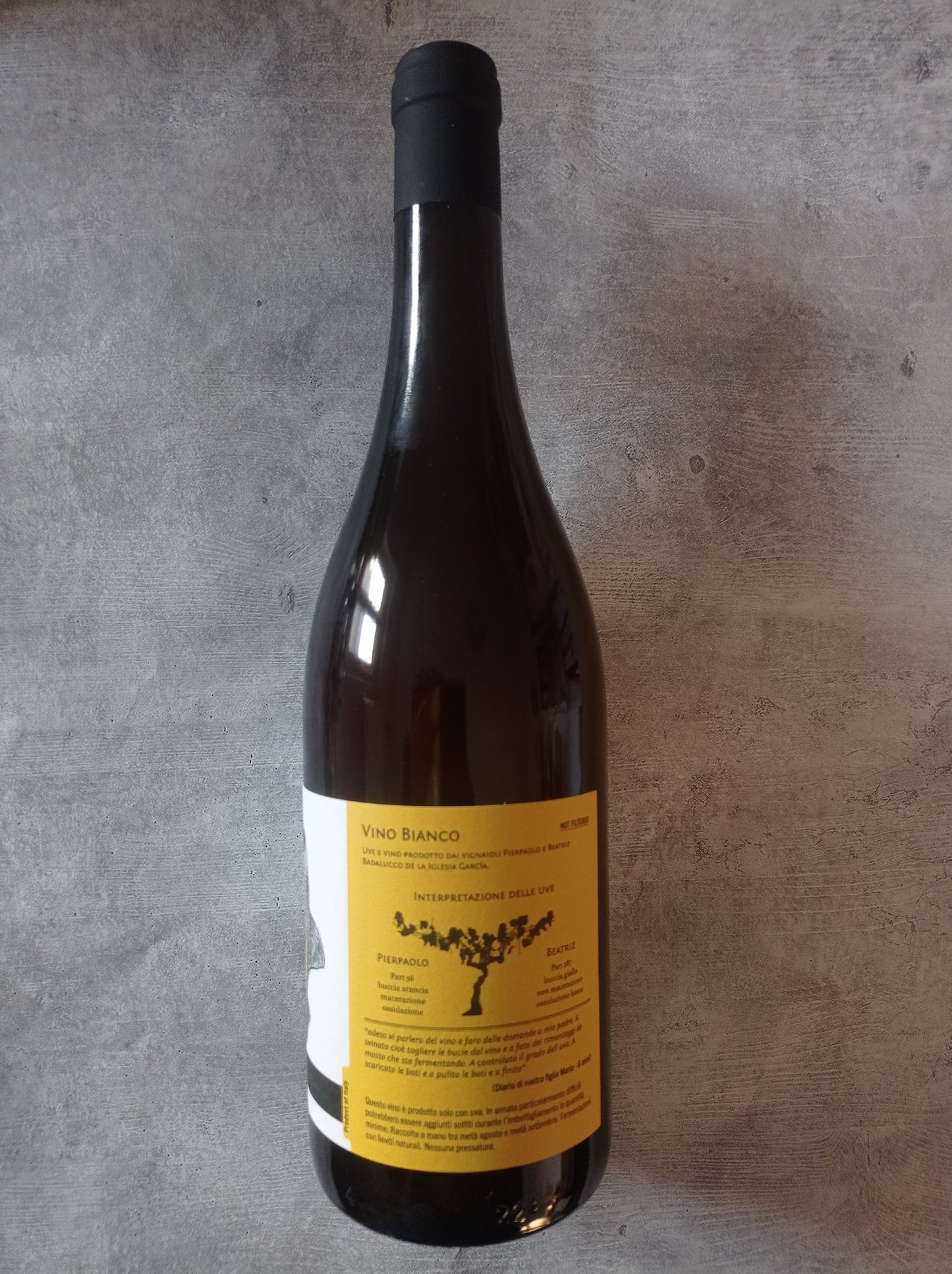 Fossa delle triglie 2024