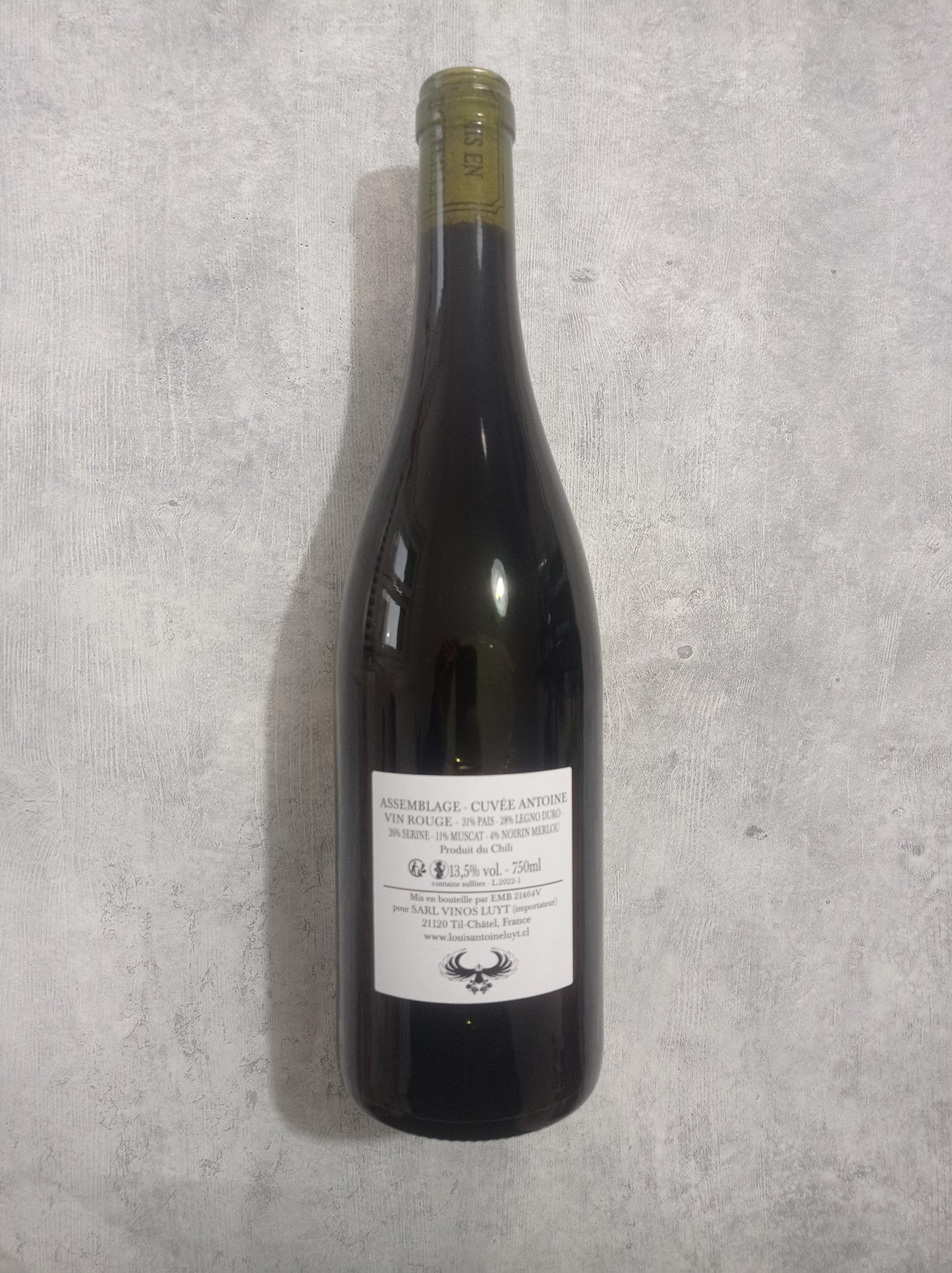 Tinto Cileno 2022