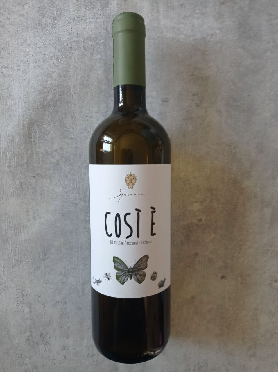 Cosi è Trebbiano 2023