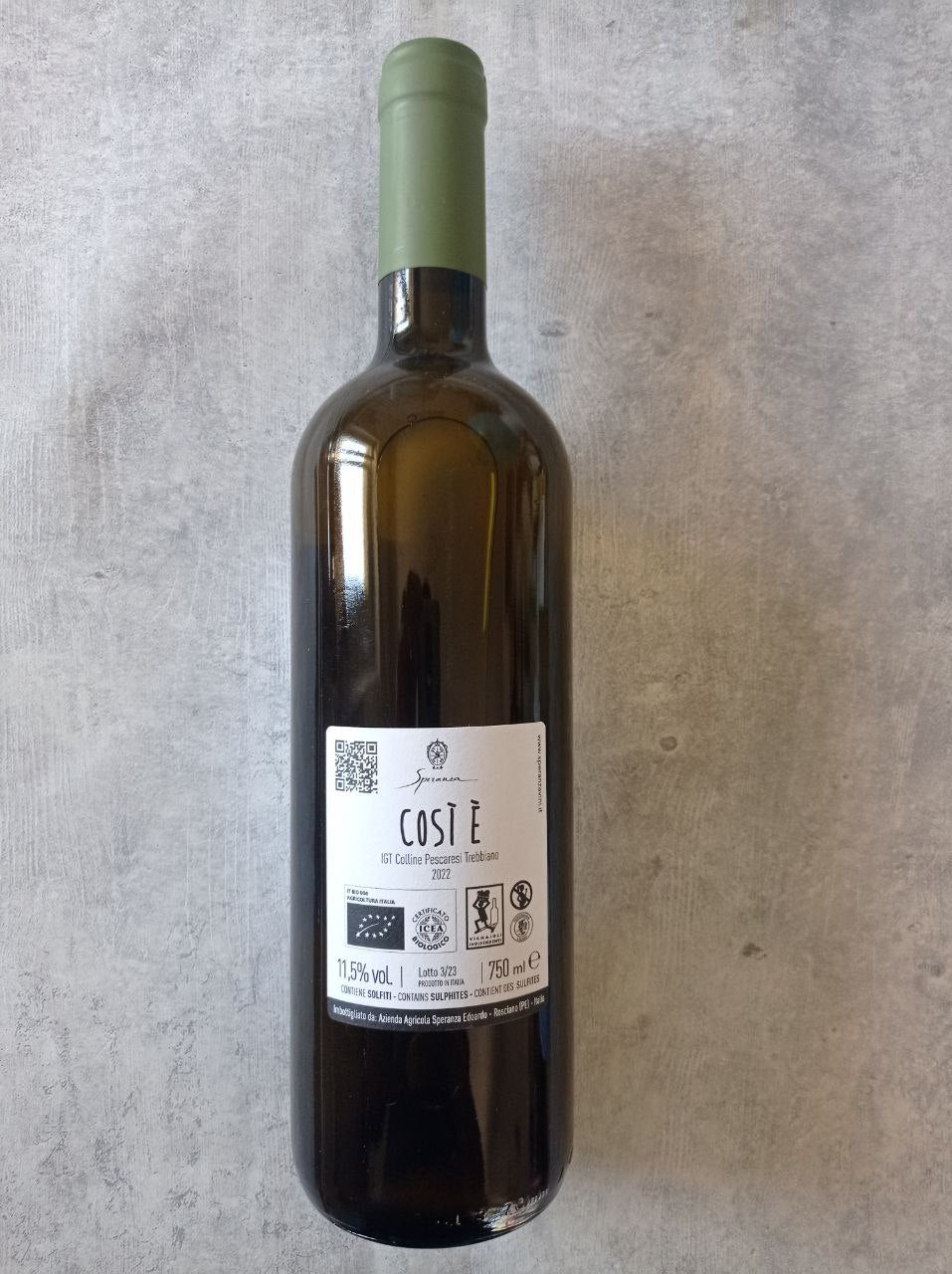 Cosi è Trebbiano 2023