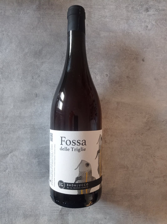 Fossa delle triglie 2024