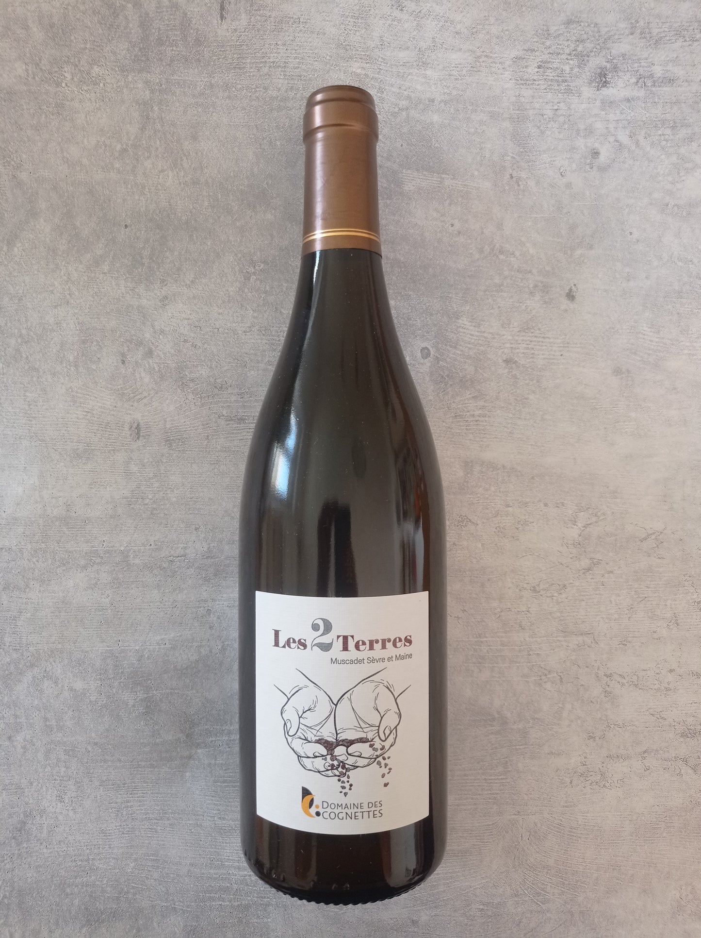 Muscadet les 2 Terres 2023