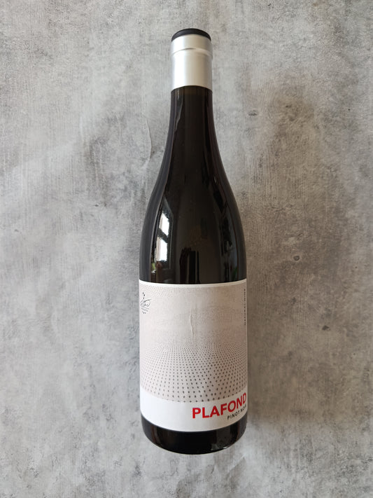 Platfond 2020 Pinot noir