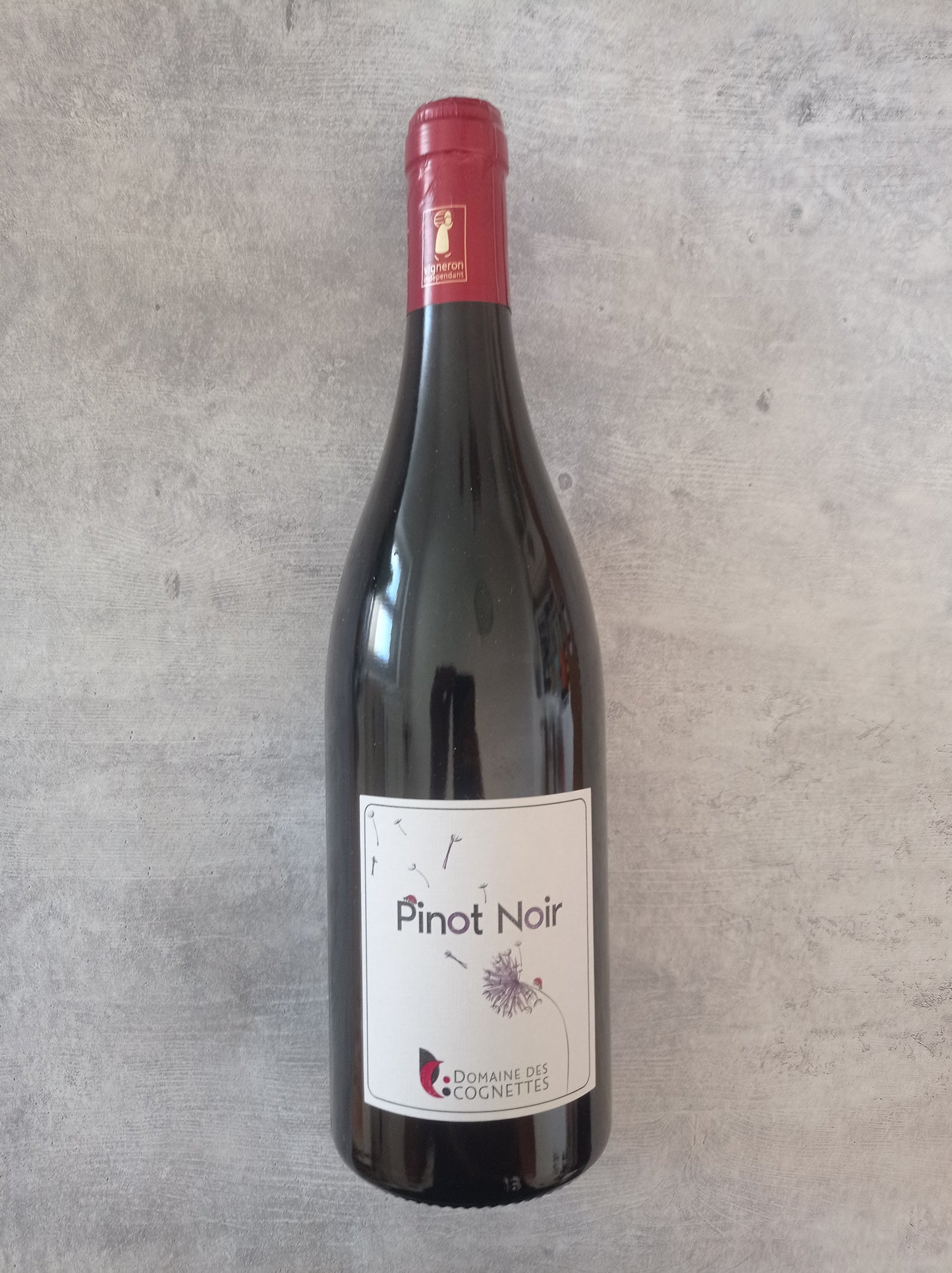 Pinot Noir 2024